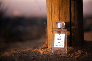 What are the most popular perfume notes?