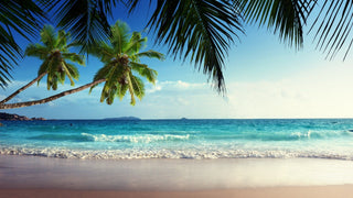 Best Men's Scents for Summer