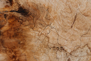 The Most Popular Wood Based Perfumes